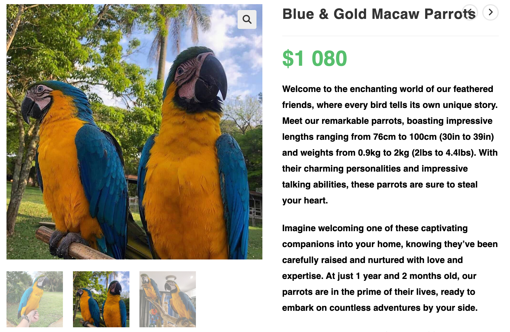 Wildlife Conservation