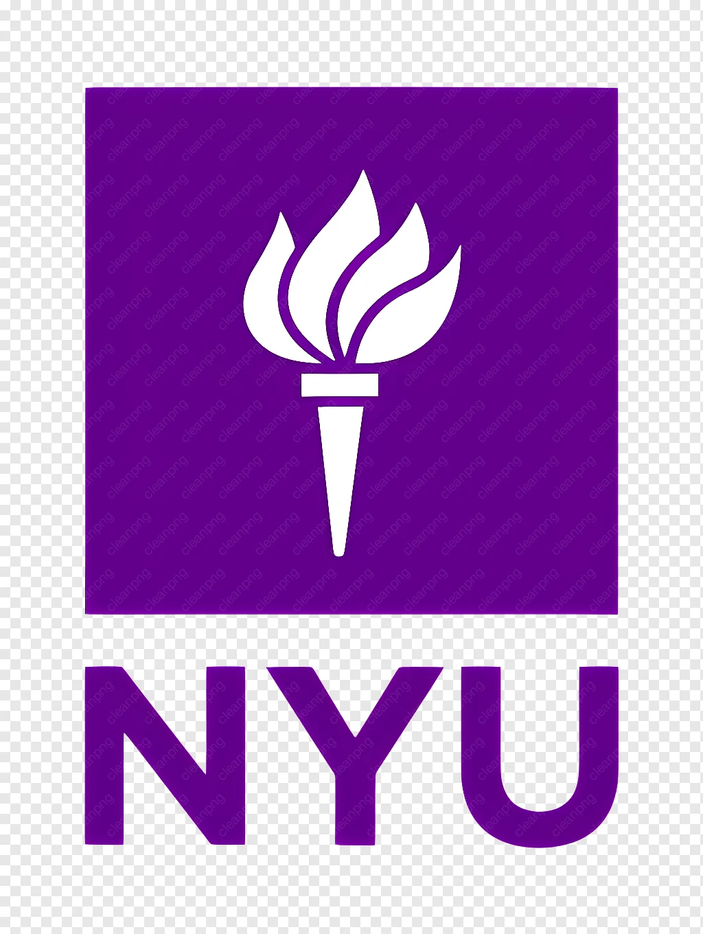 New York University